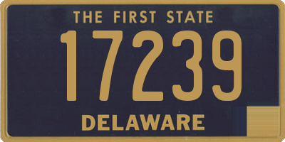 DE license plate 17239