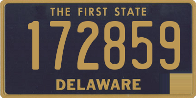 DE license plate 172859