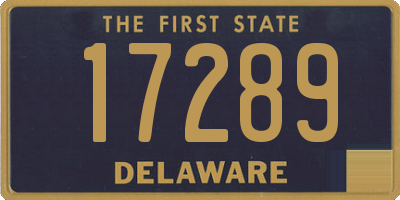 DE license plate 17289