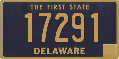 DE license plate 17291