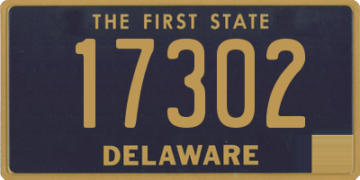 DE license plate 17302