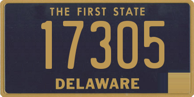 DE license plate 17305