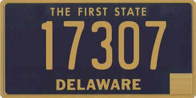 DE license plate 17307