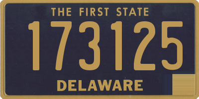 DE license plate 173125