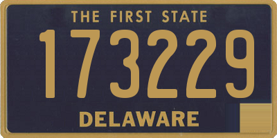 DE license plate 173229