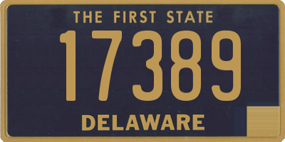 DE license plate 17389