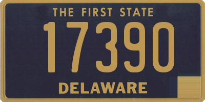 DE license plate 17390