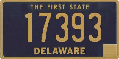 DE license plate 17393