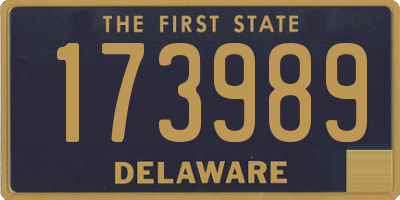 DE license plate 173989