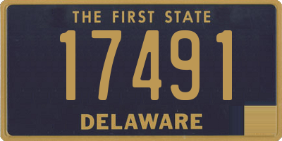 DE license plate 17491
