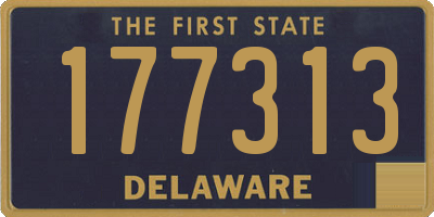 DE license plate 177313