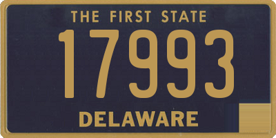 DE license plate 17993