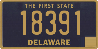 DE license plate 18391