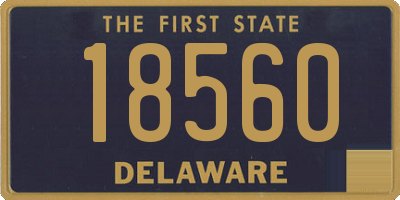 DE license plate 18560