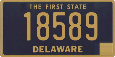 DE license plate 18589