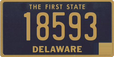 DE license plate 18593
