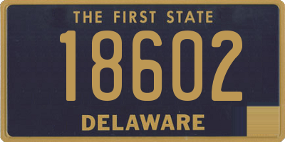 DE license plate 18602