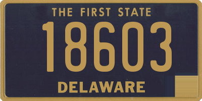 DE license plate 18603