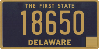 DE license plate 18650