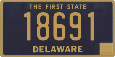 DE license plate 18691