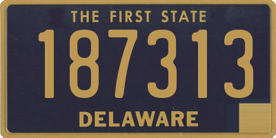 DE license plate 187313