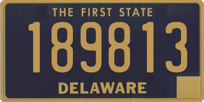 DE license plate 189813