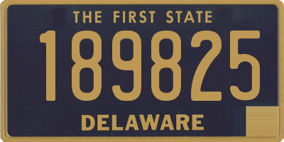 DE license plate 189825