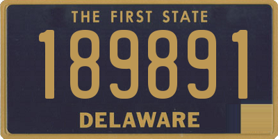 DE license plate 189891