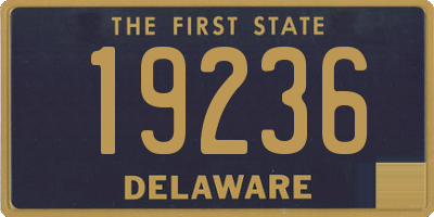 DE license plate 19236