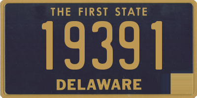 DE license plate 19391