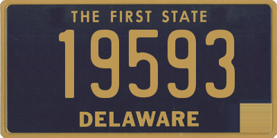 DE license plate 19593