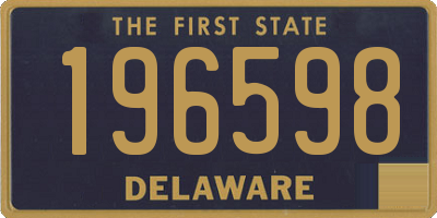 DE license plate 196598