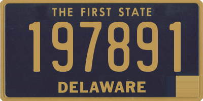 DE license plate 197891