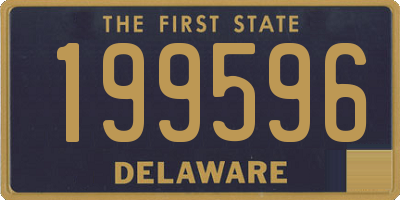 DE license plate 199596