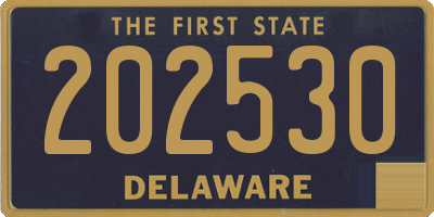 DE license plate 202530