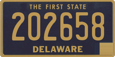 DE license plate 202658