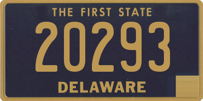 DE license plate 20293