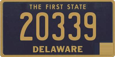 DE license plate 20339