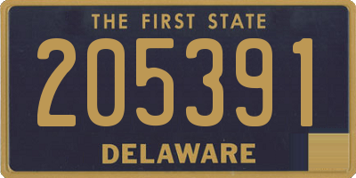 DE license plate 205391