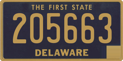 DE license plate 205663