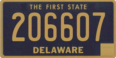 DE license plate 206607