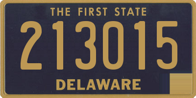 DE license plate 213015