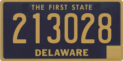 DE license plate 213028