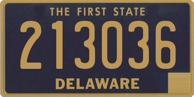 DE license plate 213036