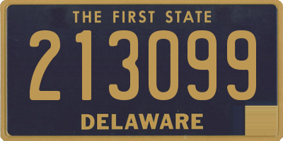 DE license plate 213099