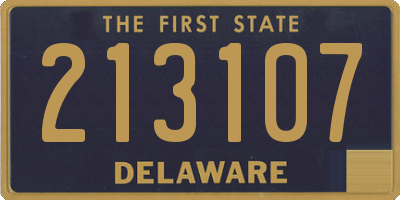 DE license plate 213107