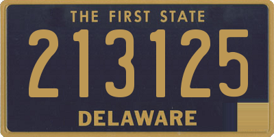 DE license plate 213125