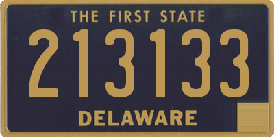 DE license plate 213133