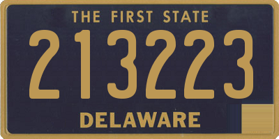DE license plate 213223