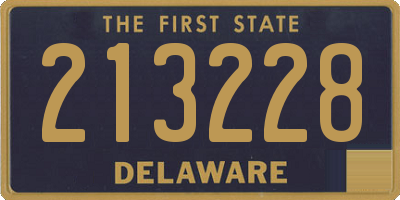 DE license plate 213228